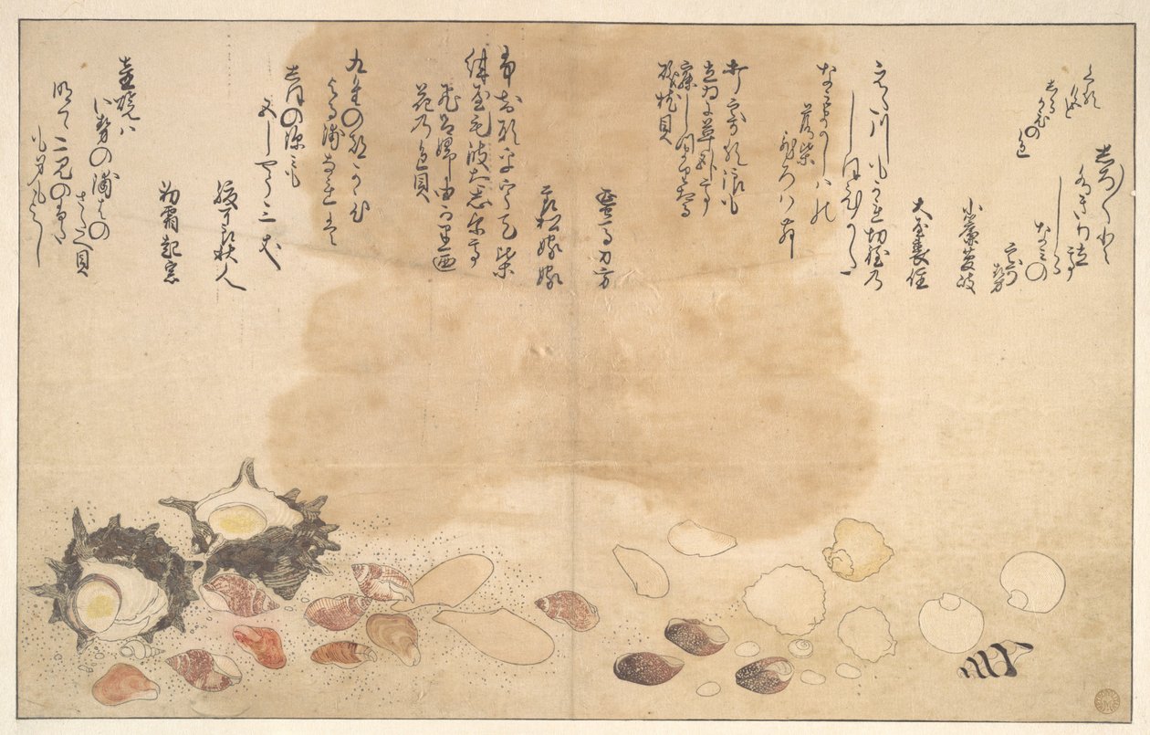 Simpukat veden alla tekijältä Kitagawa Utamaro