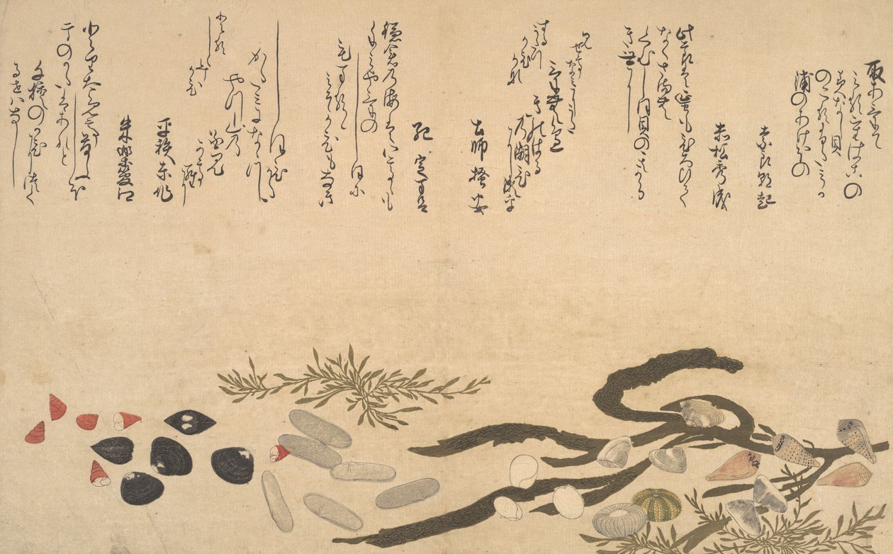 Simpukat veden alla, 1790. tekijältä Kitagawa Utamaro