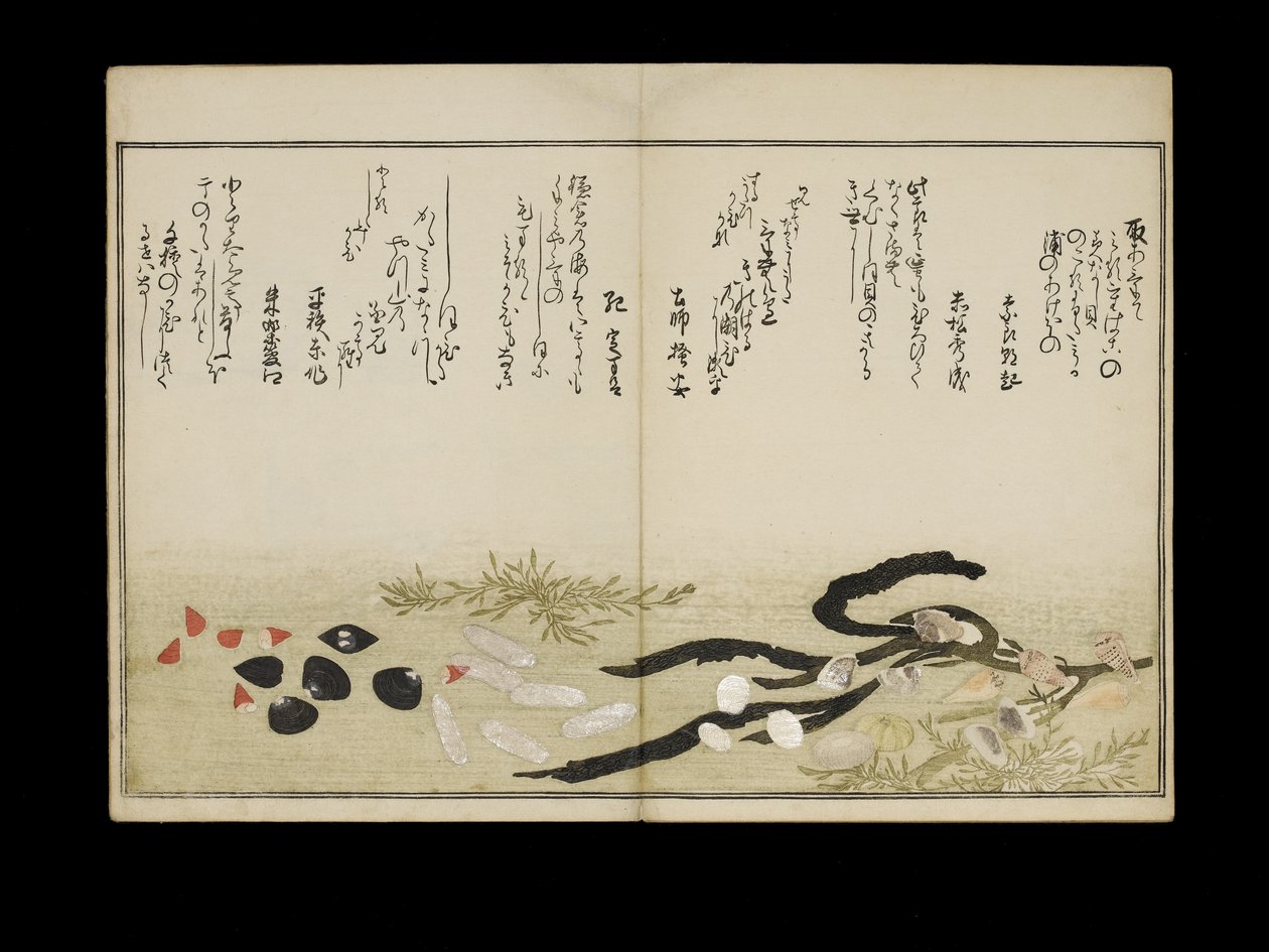Shiohi no tsuto (lahjoja Ebb Tidesta), joka tunnetaan nimellä Shell Book, 1789 (värillinen puupainatus) tekijältä Kitagawa Utamaro