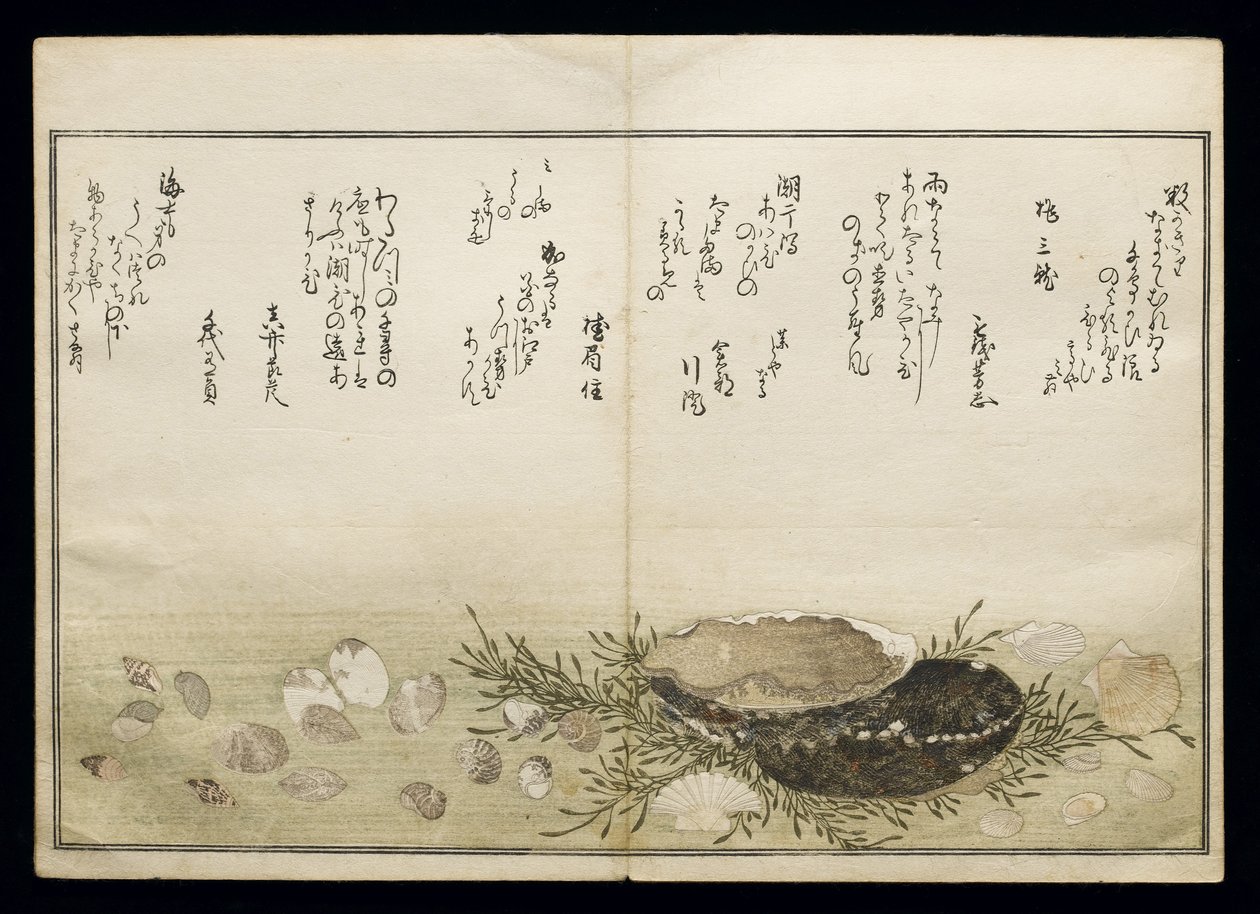 Shiohi no tsuto (lahjoja Ebb Tidesta), joka tunnetaan nimellä Shell Book, 1789 (värillinen puupainatus) tekijältä Kitagawa Utamaro
