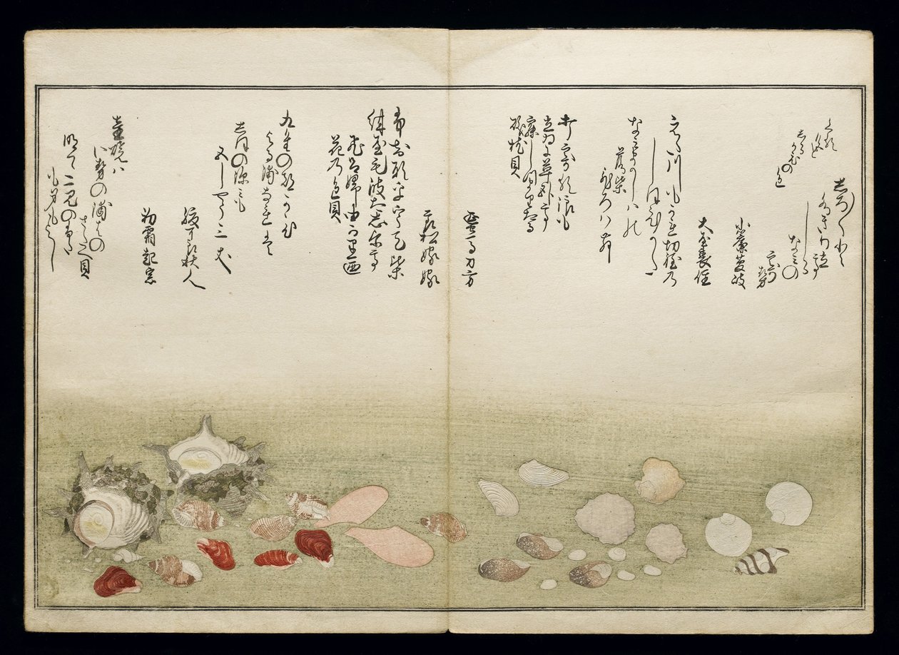 Shiohi no tsuto (lahjoja Ebb Tidesta), joka tunnetaan nimellä Shell Book, 1789 (värillinen puupainatus) tekijältä Kitagawa Utamaro