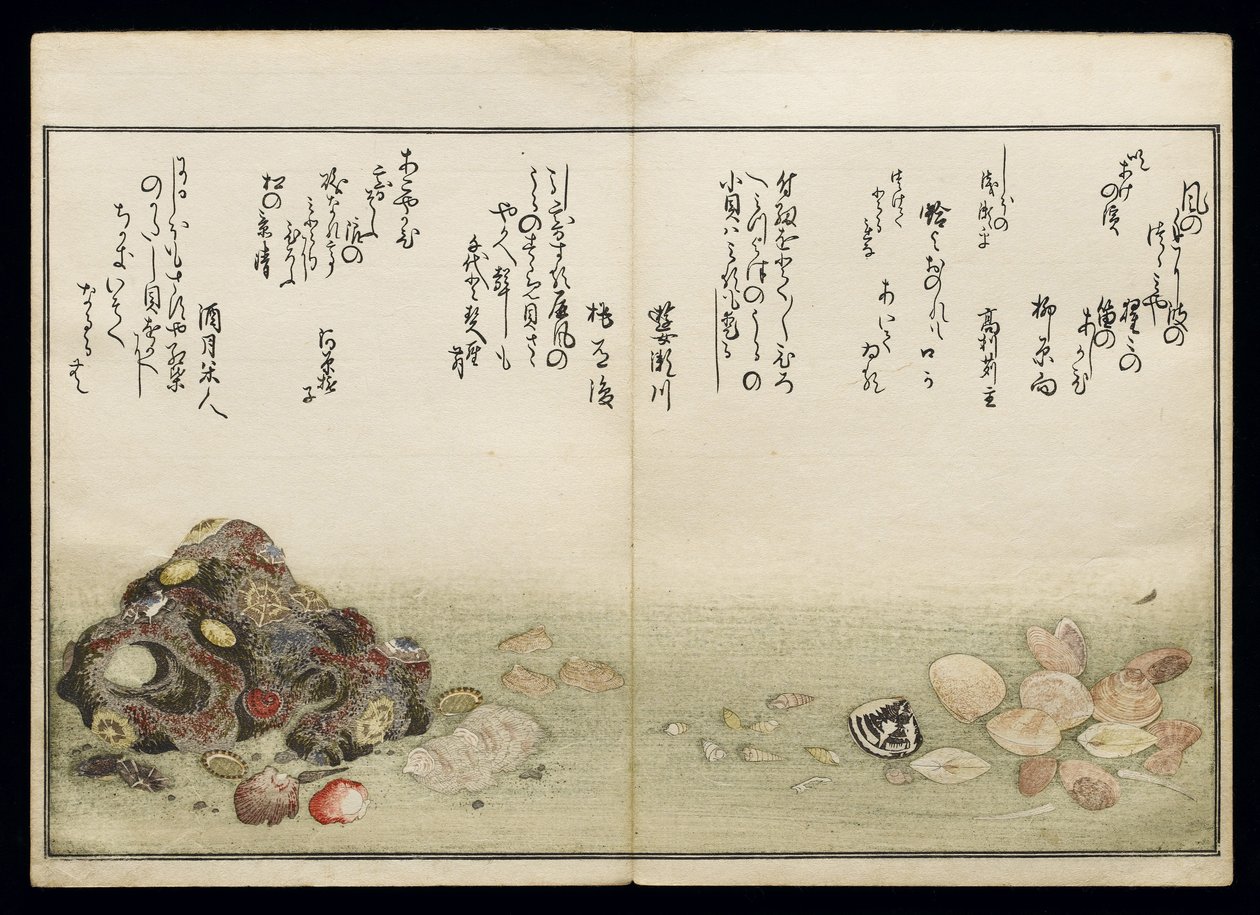 Shiohi no tsuto (lahjoja Ebb Tidesta), joka tunnetaan nimellä Shell Book, 1789 (värillinen puupainatus) tekijältä Kitagawa Utamaro