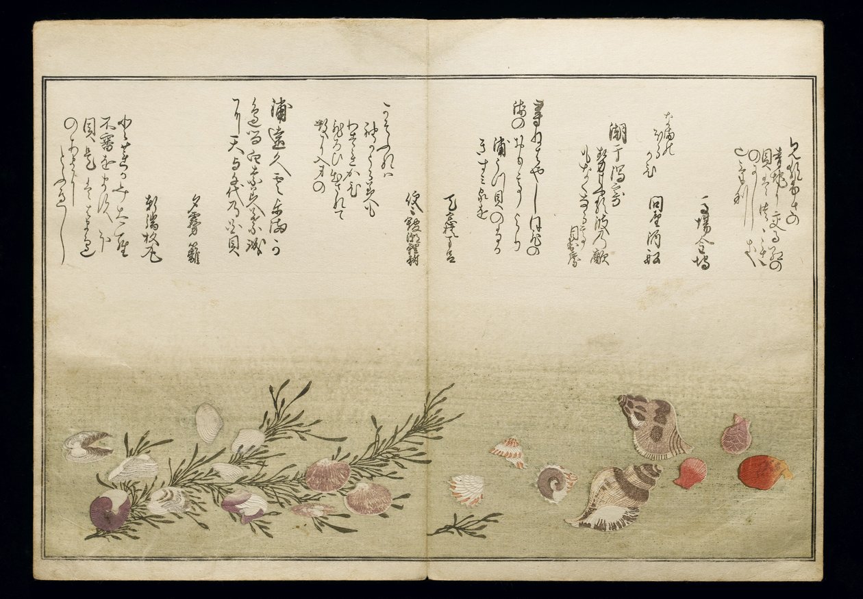Shiohi no tsuto (lahjoja Ebb Tidesta), joka tunnetaan nimellä Shell Book, 1789 (värillinen puupainatus) tekijältä Kitagawa Utamaro