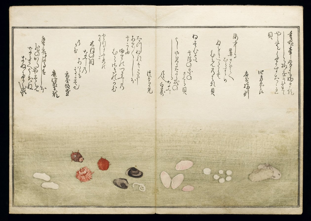 Shiohi no tsuto (lahjoja Ebb Tidesta), joka tunnetaan nimellä Shell Book, 1789 (värillinen puupainatus) tekijältä Kitagawa Utamaro