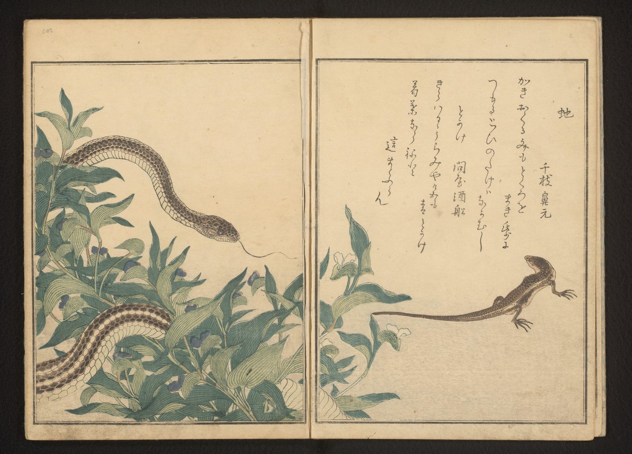 Käärme ja lisko pensaan vieressä tekijältä Kitagawa Utamaro