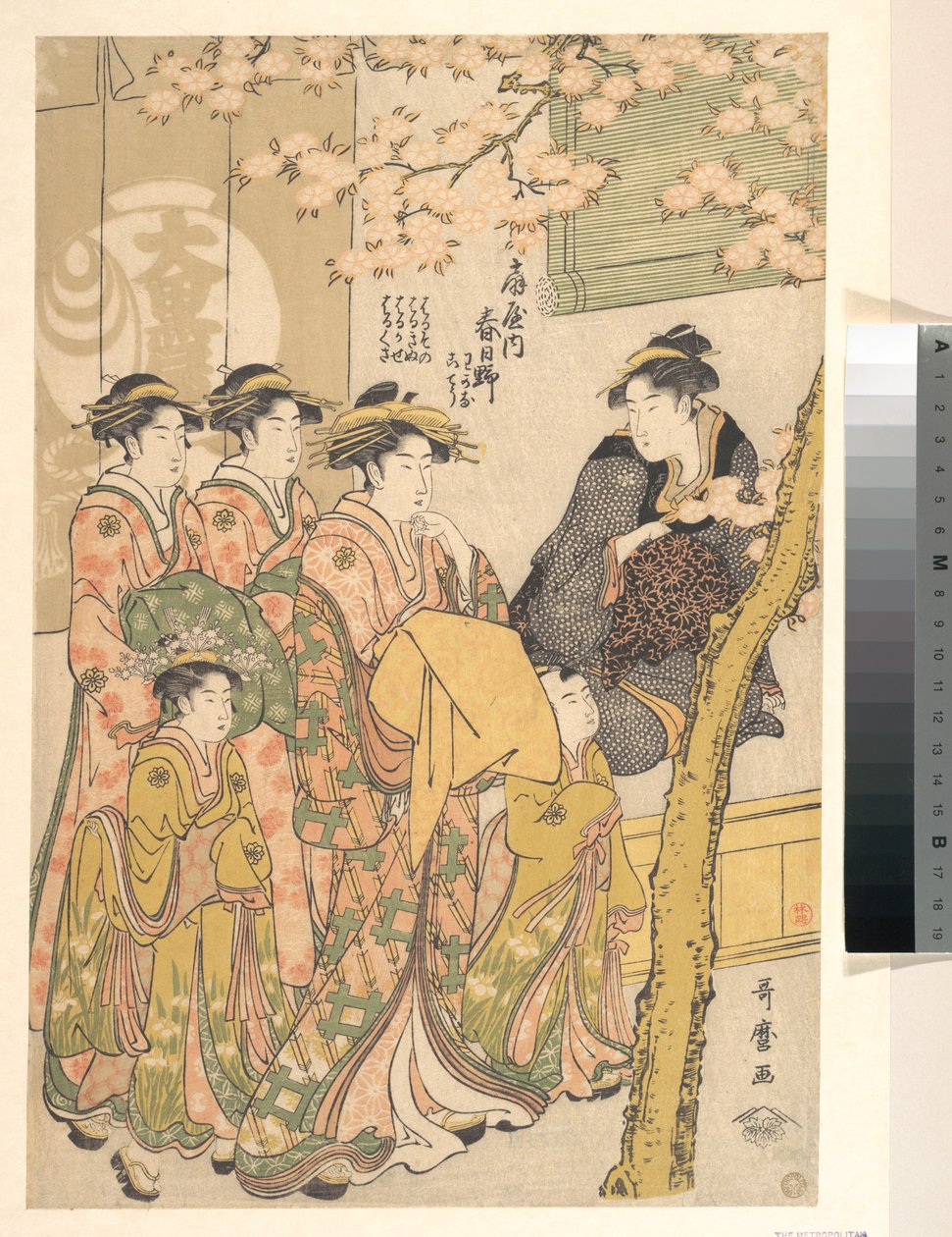 Ogiyan oiran Kasugano kulkee kukkivien kirsikkapuiden alla tekijältä Kitagawa Utamaro