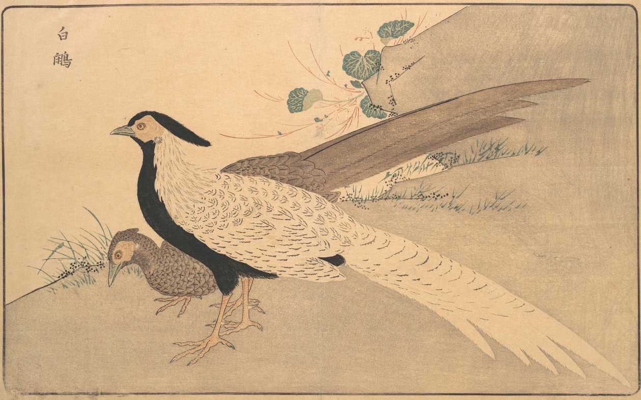 b Ae Hyun, 1789. tekijältä Kitao Masayoshi
