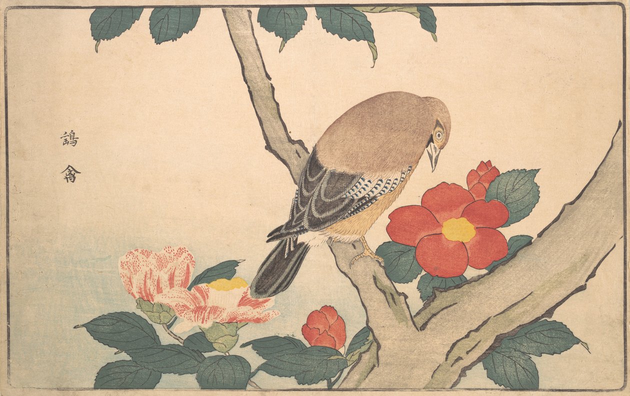 Kameliat linnun kanssa, 1789. tekijältä Kitao Masayoshi
