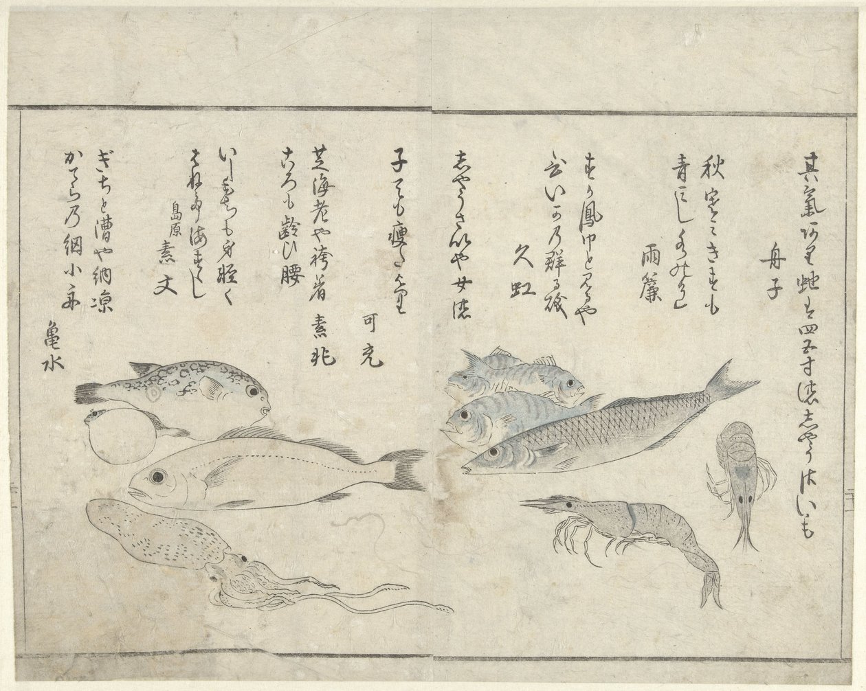 Merieläimet tekijältä Kitao Masayoshi