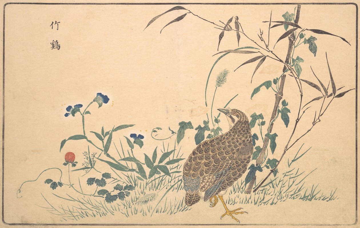 Z-kolikkopeli, 1789. tekijältä Kitao Masayoshi