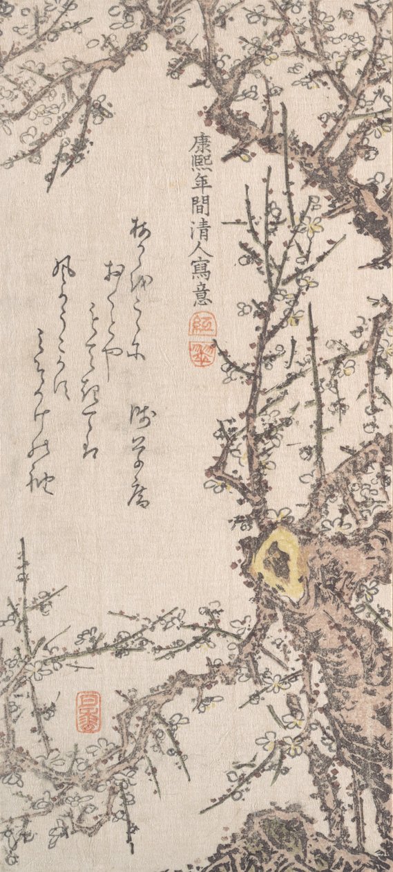 Luumupuu Blossomissa, 1700-luvun loppu - 1800-luvun alku. tekijältä Kitao Shigemasa