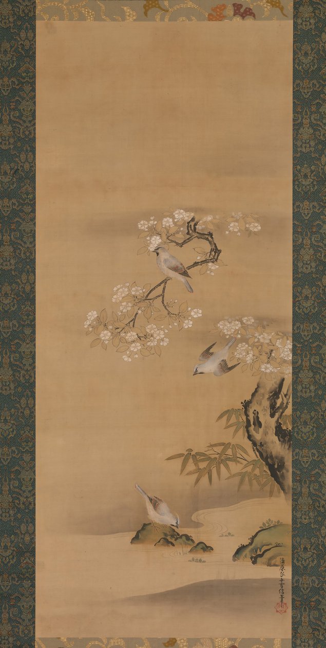 Waxwings, Cherry Blossoms ja Bamboo, 1600-luvun loppu. tekijältä Kiyohara Yukinobu