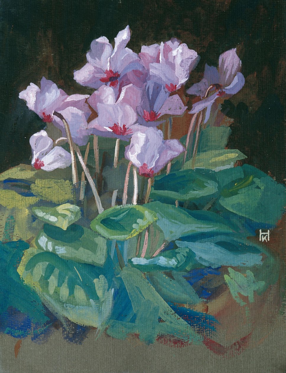Cyclamen tekijältä Klara Hasslwander