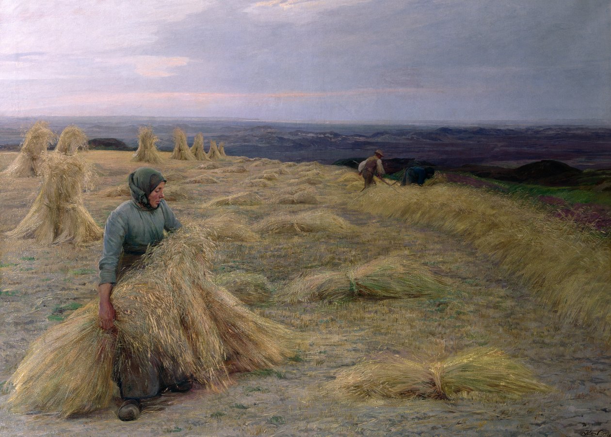 Sadonkorjaajat, Svinklov-Viildemosen, Jyllannin lääni. tekijältä Knud Larsen