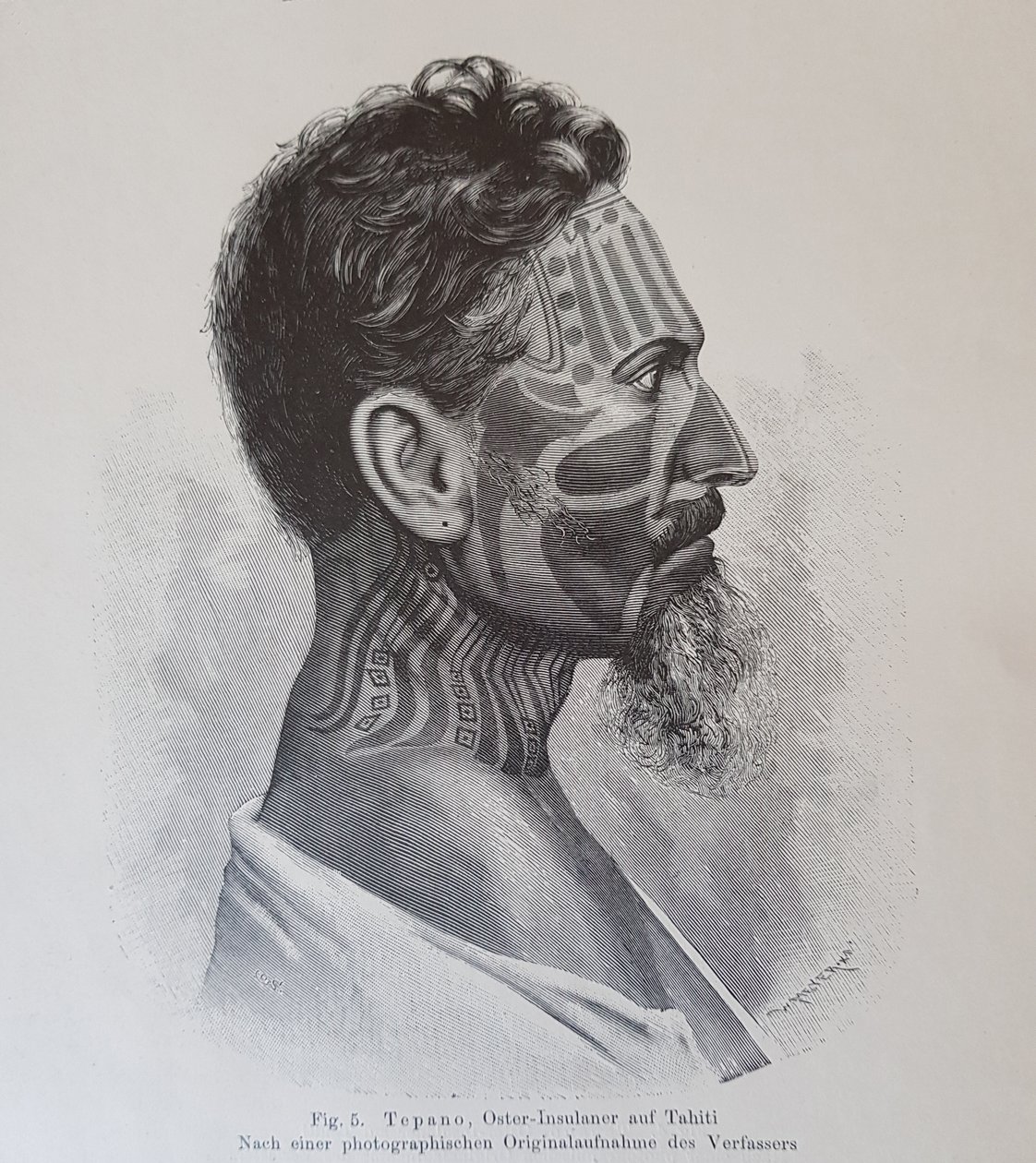 Juan Tepano, kuvitus "Pääsiäissaarelaisten tatuoinneista", Hjalmar Stolpe, 1899 tekijältä Knut Hjalmar Stolpe