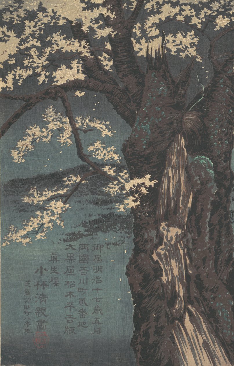Kirsikkapuu, päivätty 1874. tekijältä Kobayashi Kiyochika