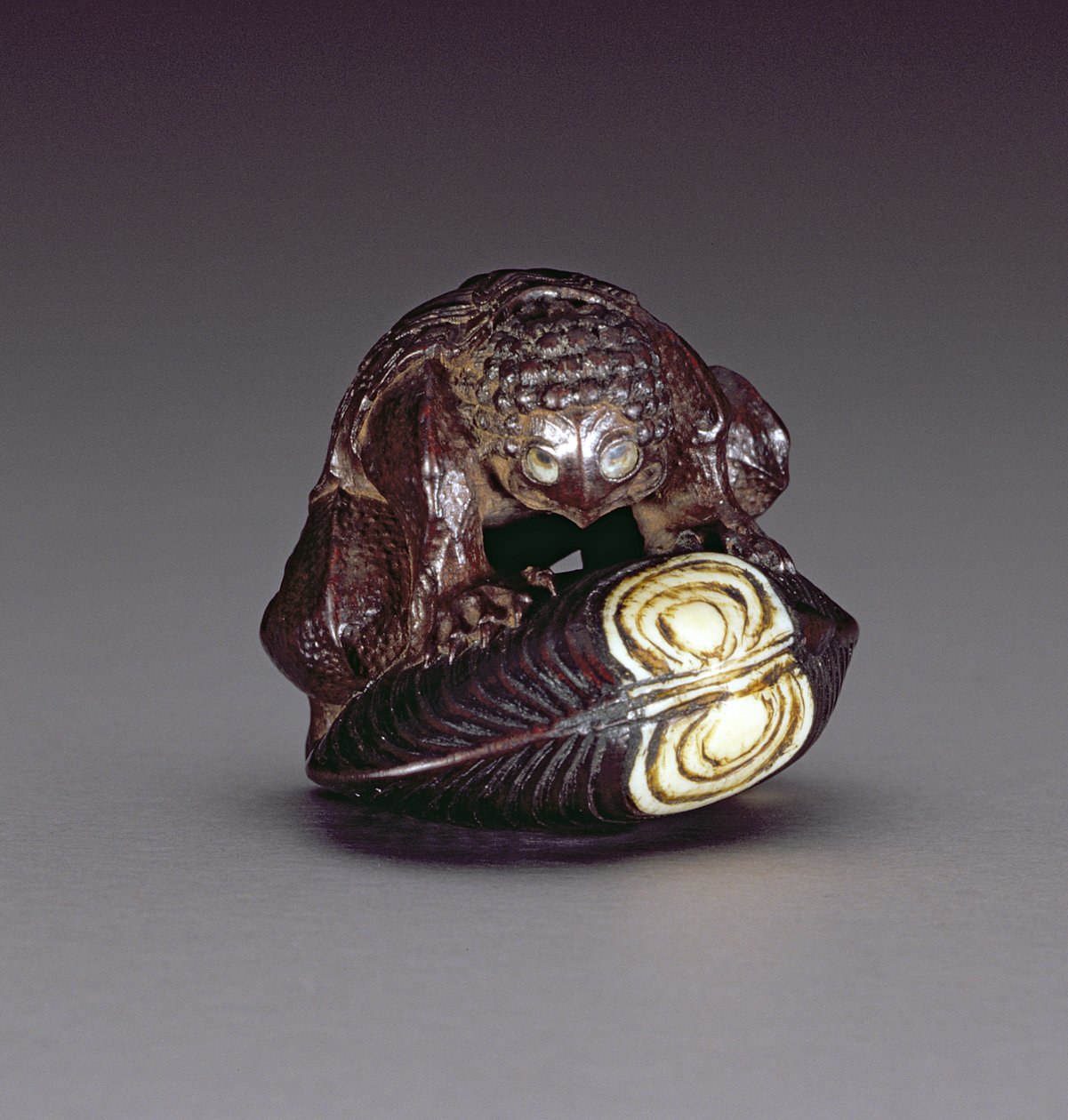 Netsuke, jossa kappa kyyristelee simpukankuoren päällä, 1860-80 (puu) tekijältä Komin
