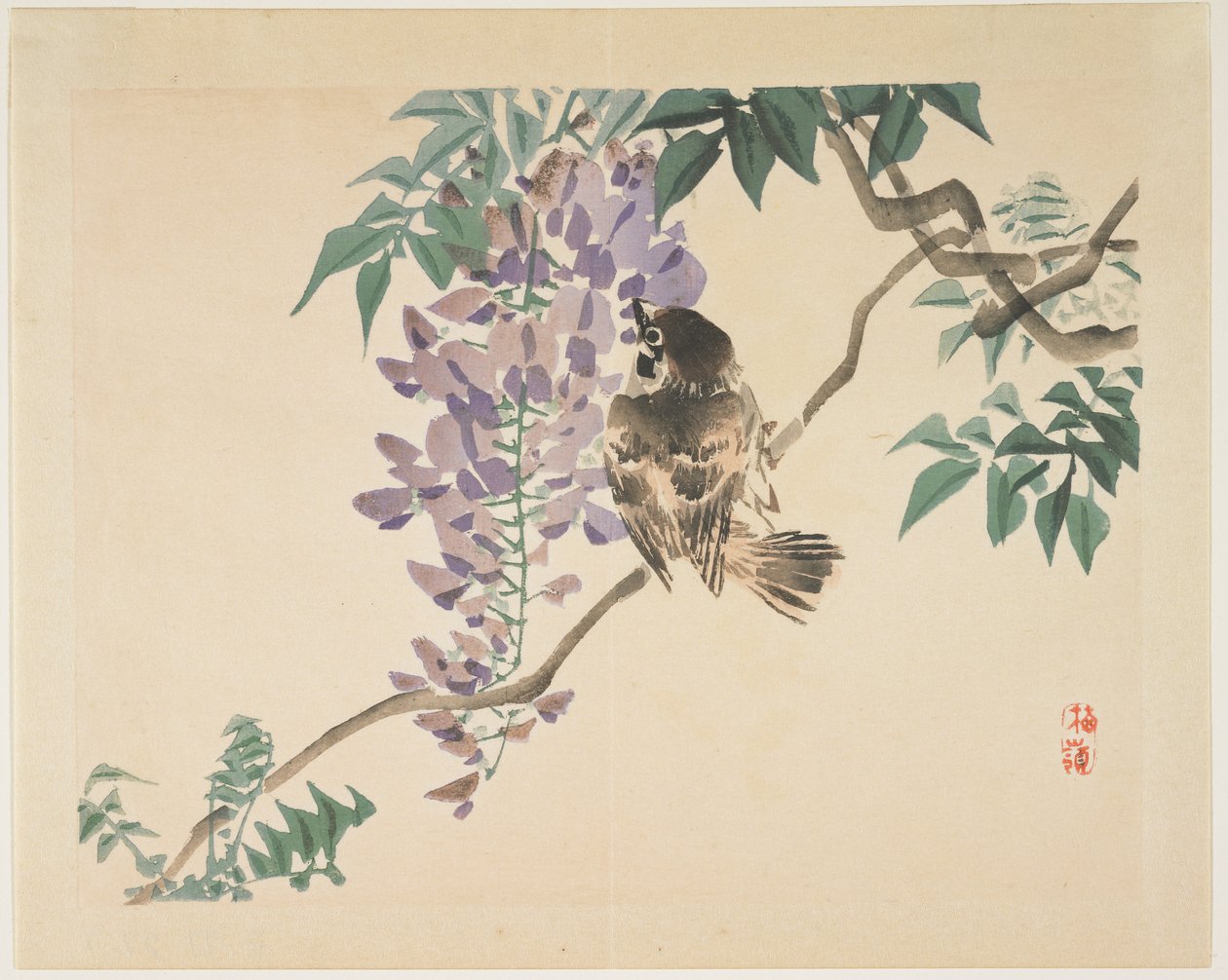 Varpunen wisteria-oksalla, 1859-1895 tekijältä Kono Bairei