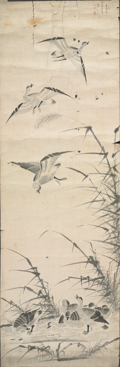 Villihanhet ja ruoko tekijältä Korea, Joseon dynasty