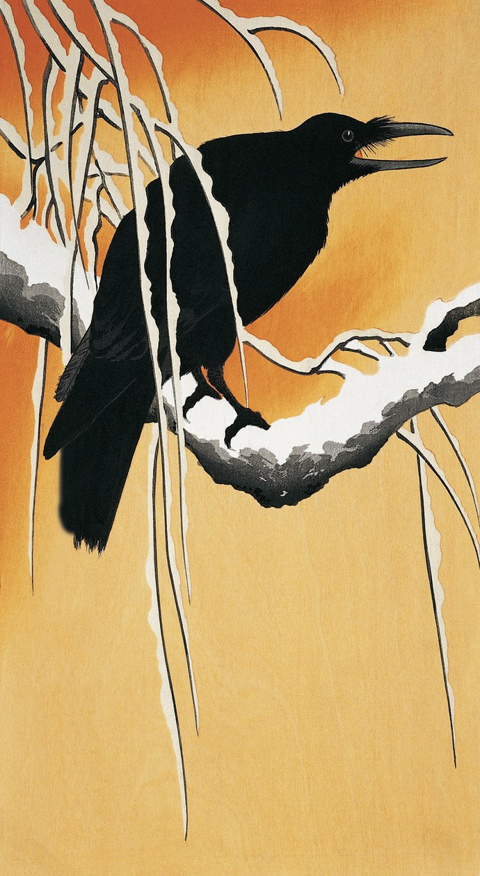 Korppi kyydissä oksalla (Corvus corax) tekijältä Ohara Koson