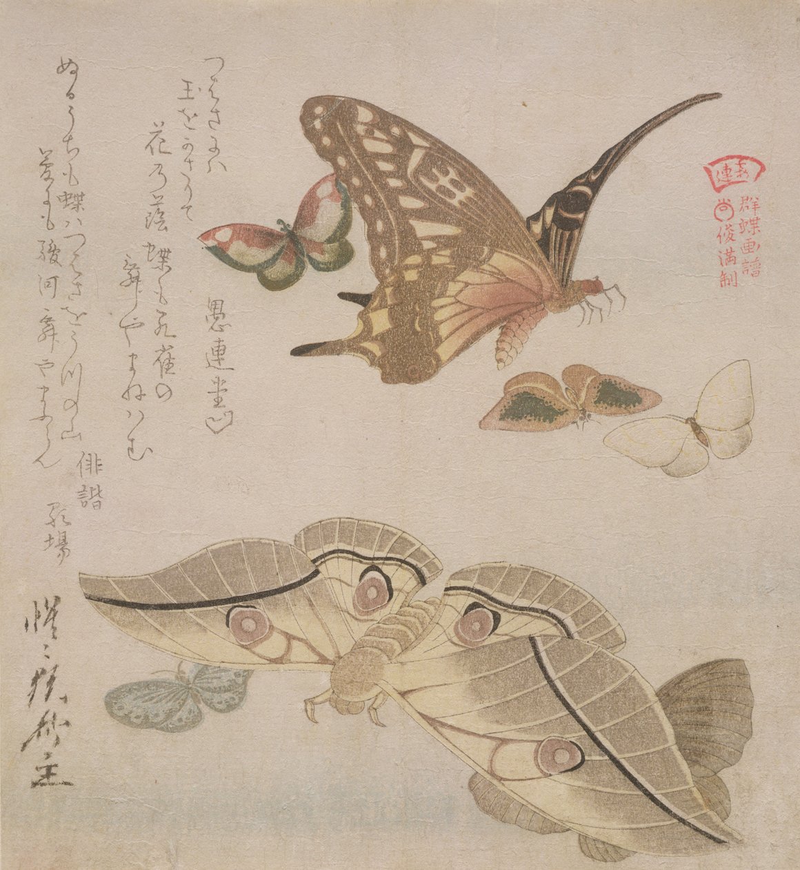 "Tsubasa ni wa..." (runon ensimmäinen rivi) sarjasta "Kuvitettu kokoelma perhosia", n. 1804-1818 (puupainatus) tekijältä Kubo Shumman