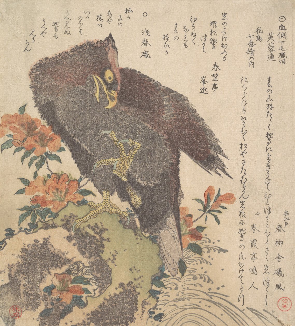 Eagle on a Rock, kukkivat atsaleat, n. 1800. tekijältä Kubo Shunman