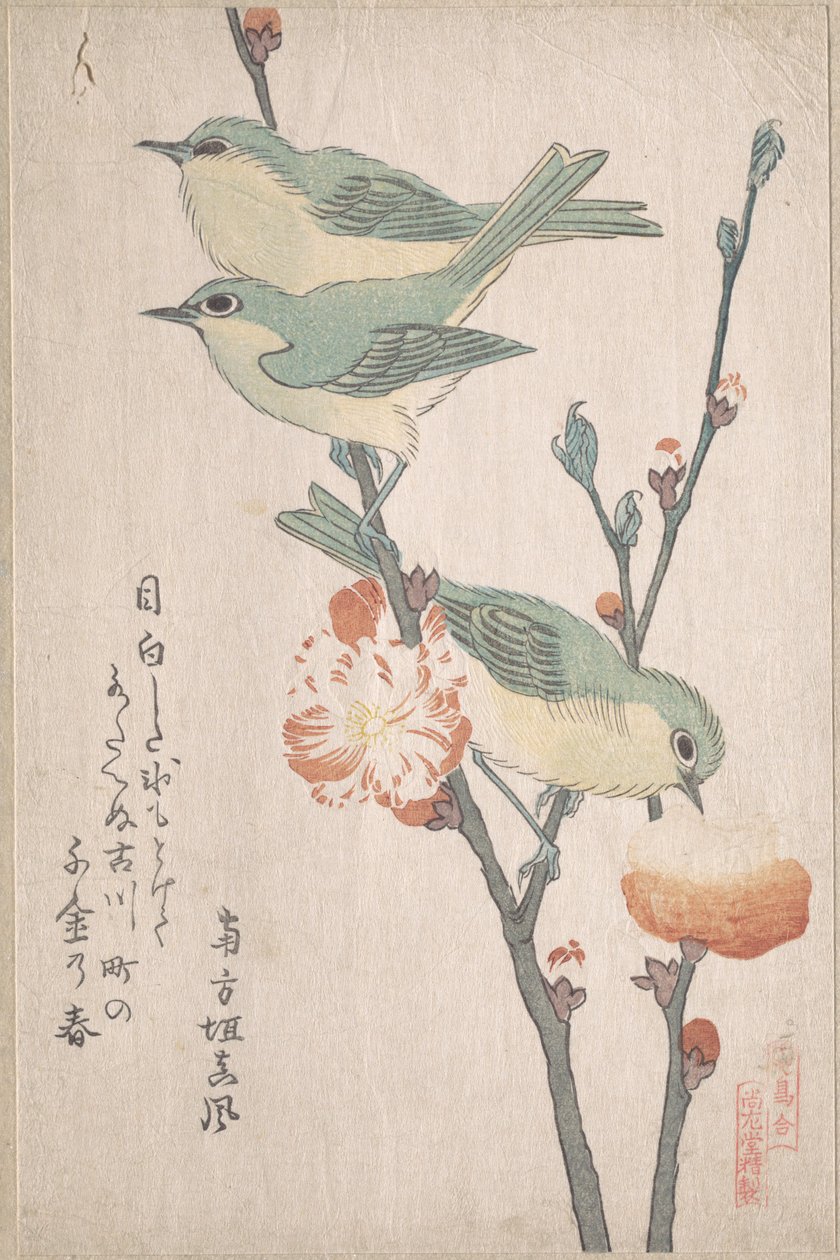 Japaninsilmälintuja persikkapuun oksalla, sarjasta "Lintujen valikoima" (Tori awase), surimono-albumista "Kevätsade" (Harusame surimono-jō, osa 3) tekijältä Kubo Shunman