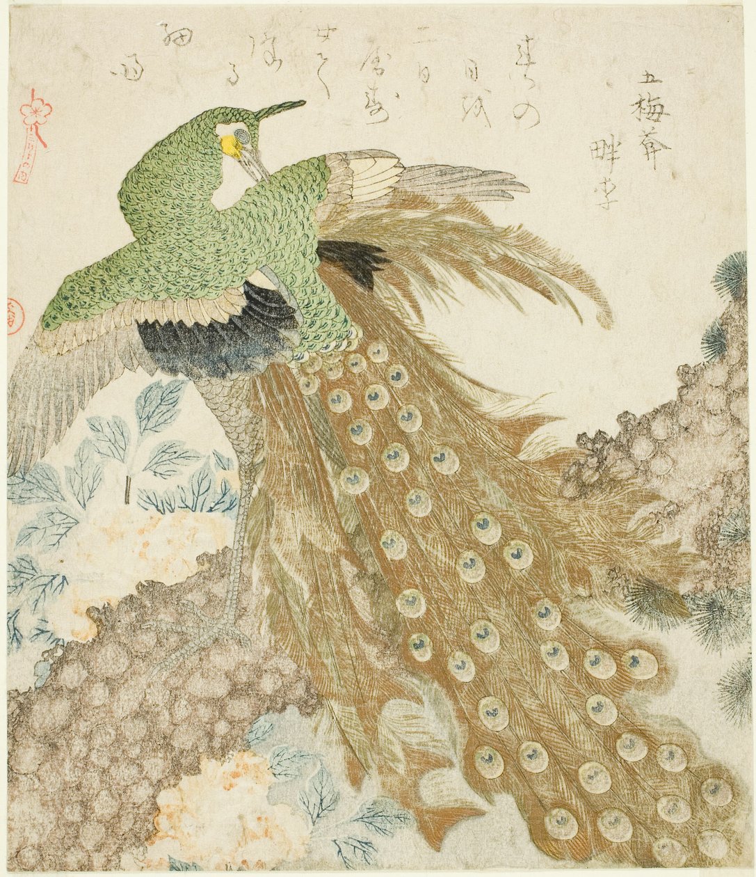 Riikinkukko, mänty ja pionit sarjasta "A Set of Three Terals (San hira no uchi)" tekijältä Kubo Shunman
