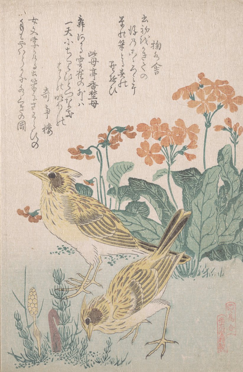 Skylarks ja esikoot..., n. 1805-10. tekijältä Kubo Shunman