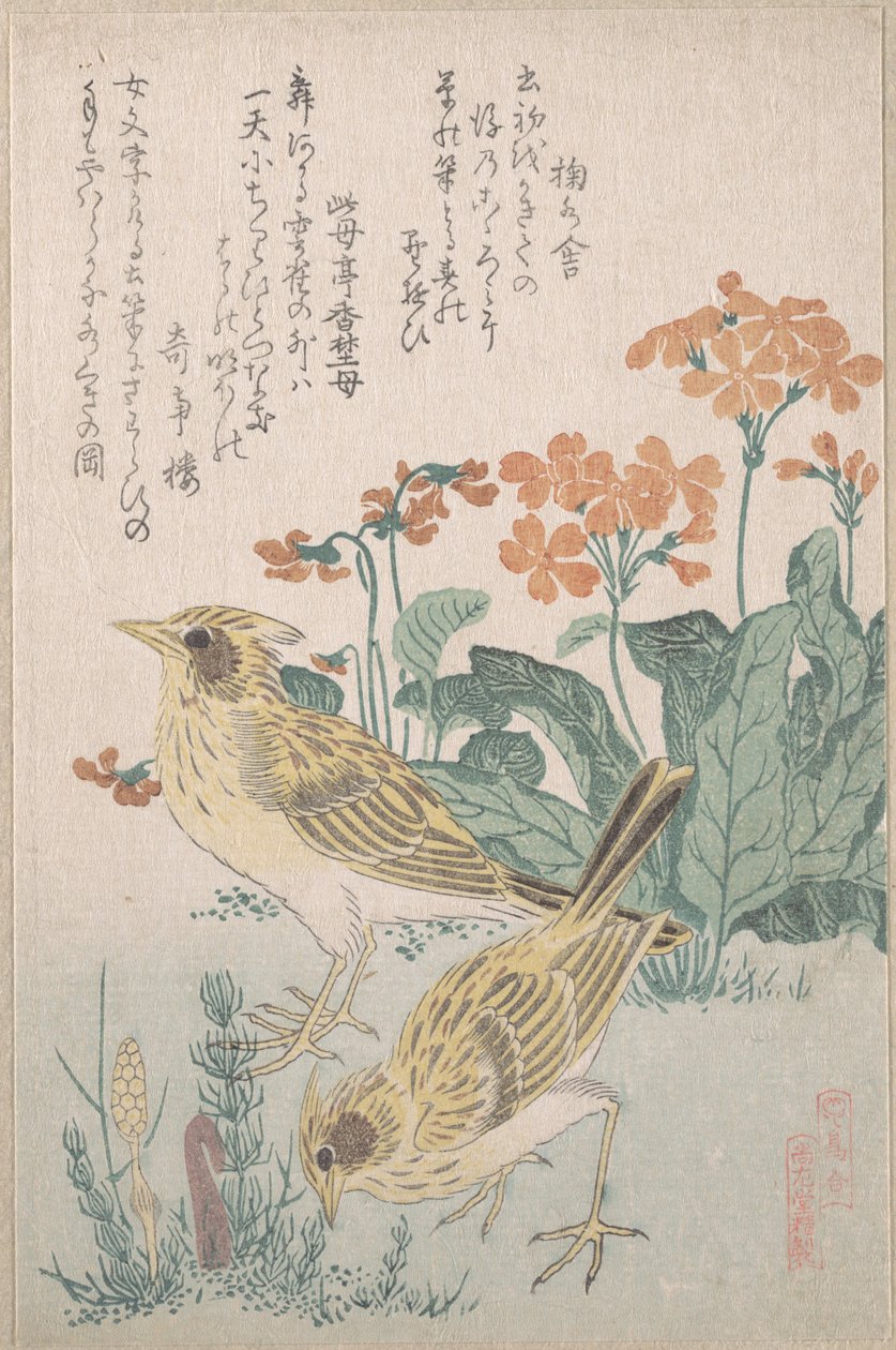 Kiuruja ja esikoita, sarjasta "Lintujen valikoima" (Tori awase), surimono-albumista "Kevätsade" (Harusame surimono-jō, osa 3) tekijältä Kubo Shunman