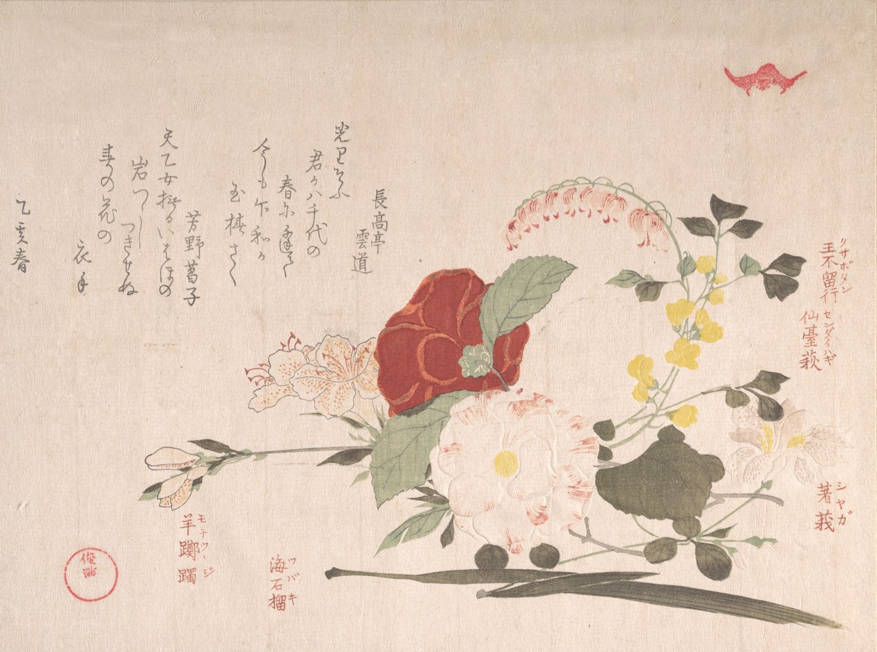 Spring Rain Collection Harusame shu, voi. 2: Leikkokukat: Clematis, Bussi..., 1815 Härän vuosi. tekijältä Kubo Shunman