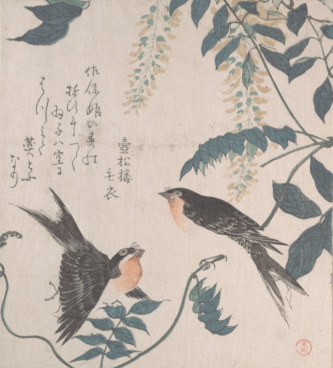 Pääskyset ja Wisteria, 1800-luku. tekijältä Kubo Shunman