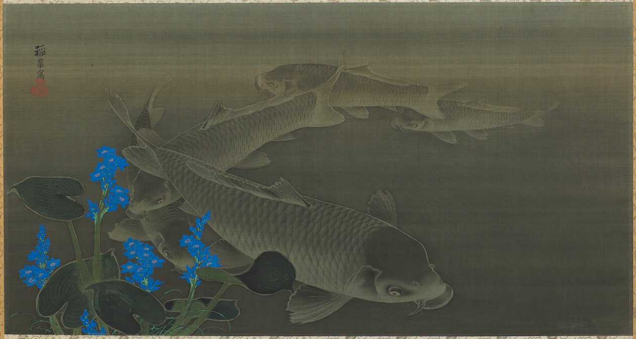Karppi, Edo-kausi, 1800-luvun alku. tekijältä Kuroda Toko