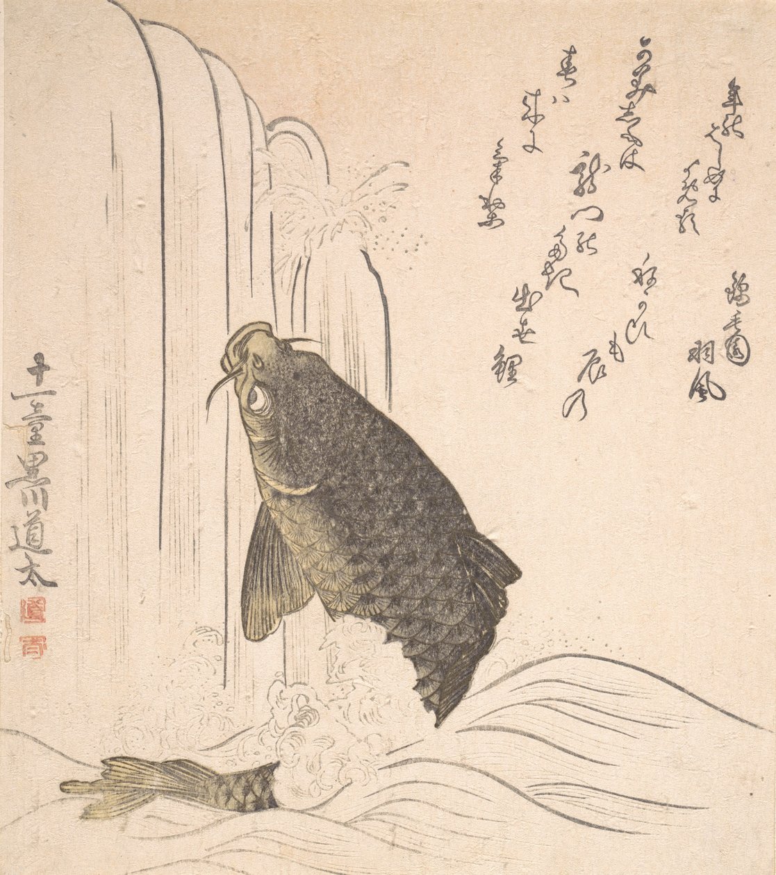 Karppi yrittää uida vesiputouksella, luultavasti 1820. tekijältä Kurokawa Michita
