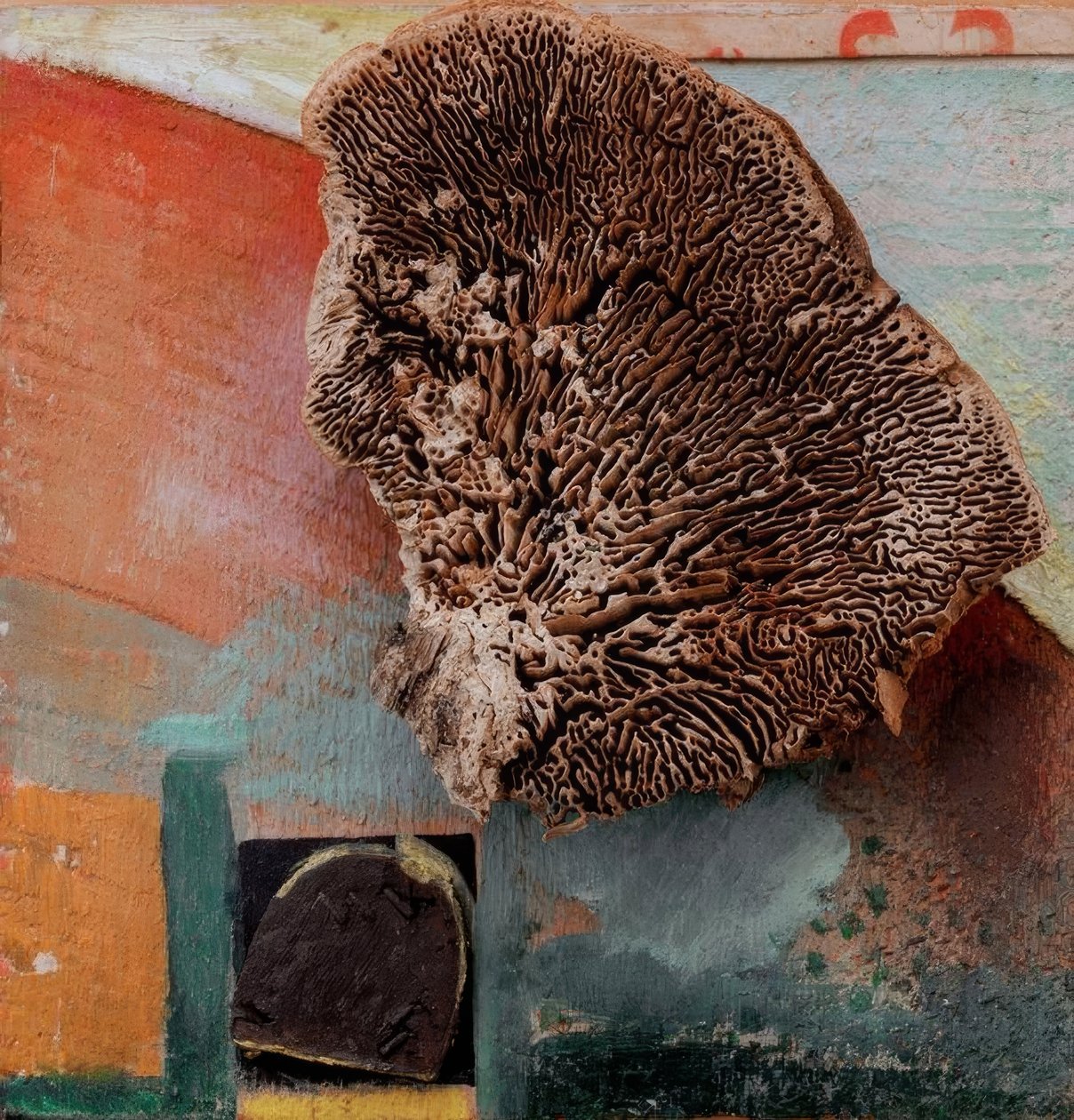 Ohne Titel (Merzbild mit Koralle) tekijältä Kurt Schwitters