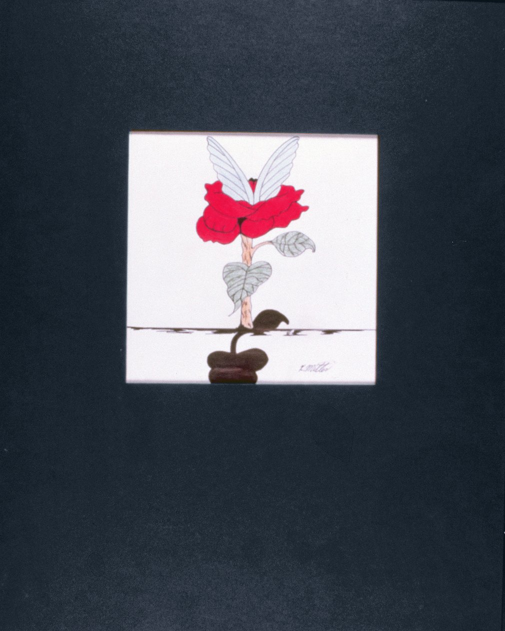 Blossoming Angel, 2005 (värikynä ja musta muste paperille) tekijältä Kurtis L. Miller