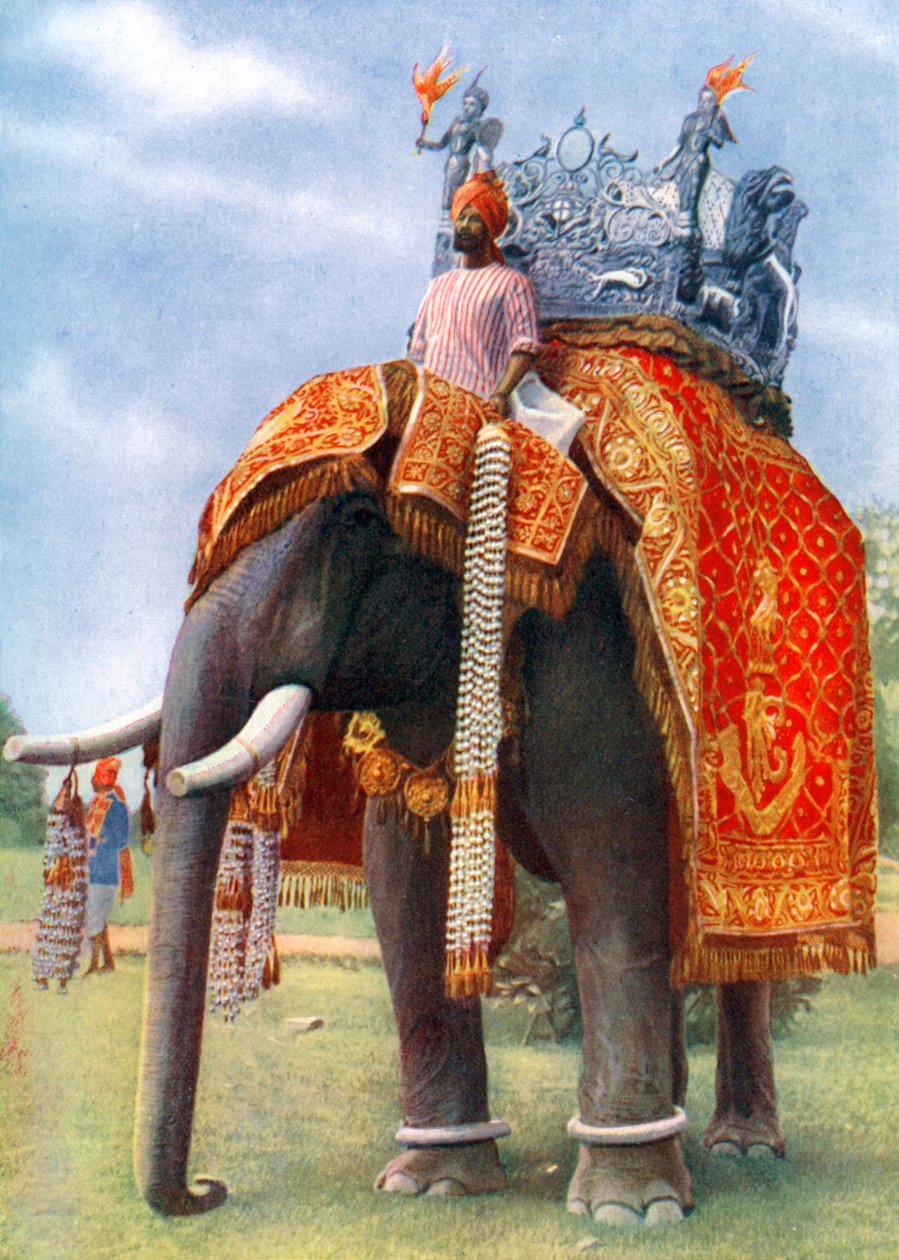 Un elefant majestuós a la reunió festiva principal de Bengala, Índia, 1922. finlandès tekijältä L Barber