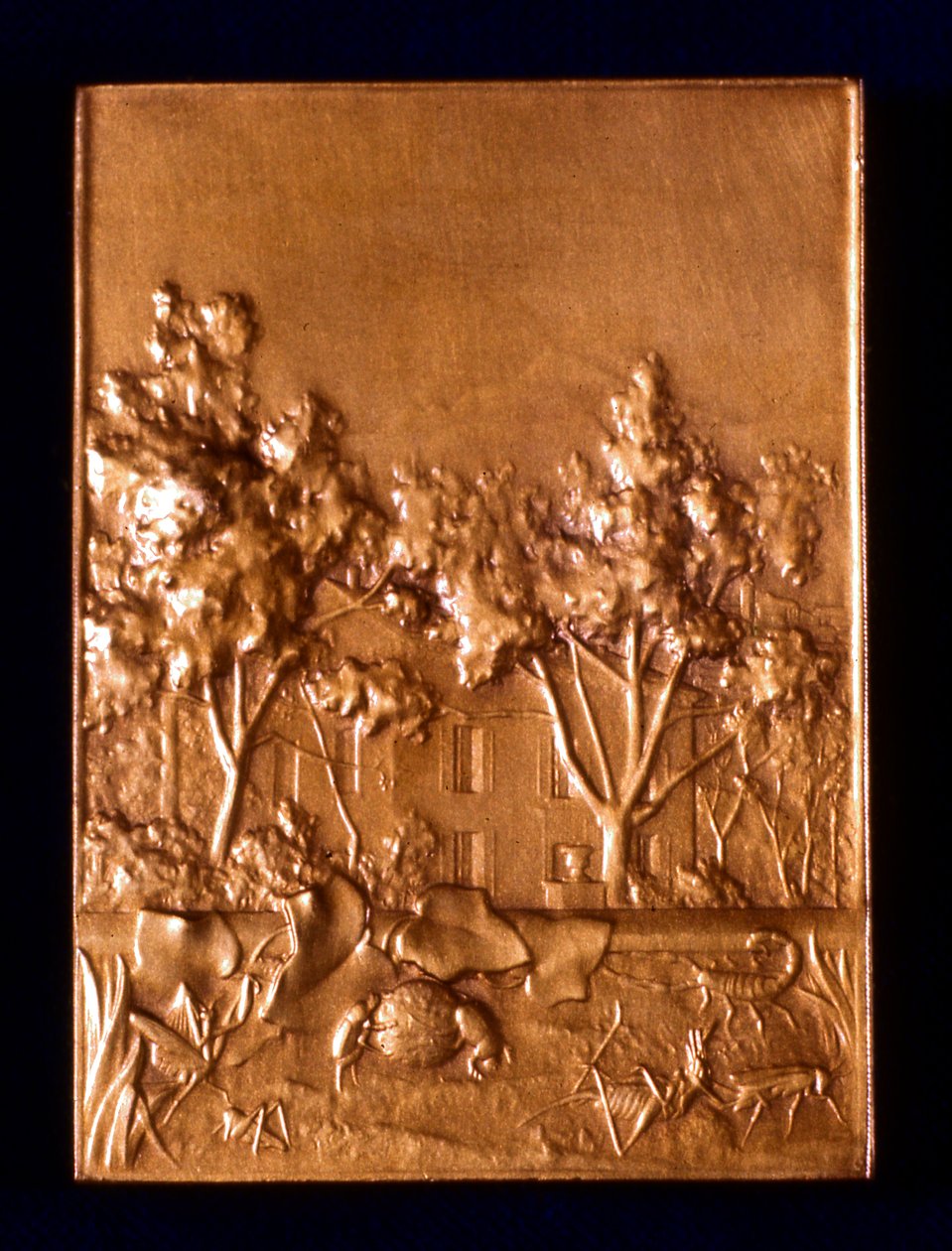 Hyönteiset, 1911 tekijältä L. Patriarche