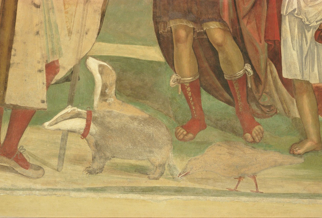Pyhän Benedictuksen elämä (yksityiskohta) tekijältä L. and Sodoma, G. Signorelli