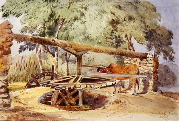 Turkish Water Wheel, Heliopolis tekijältä Lady Louisa Tennyson
