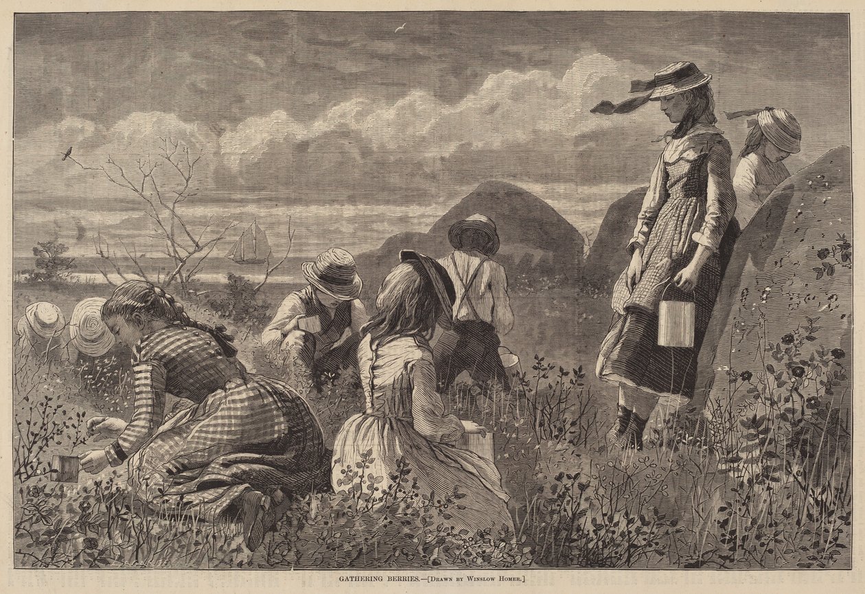 Marjojen kerääminen tekijältä Lagarde after Winslow Homer