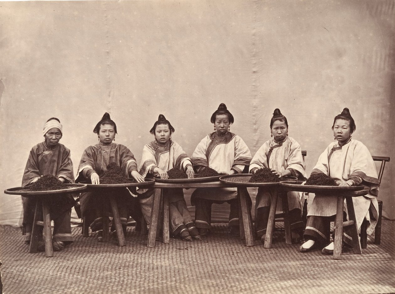 Culling Tea, n. 1869. tekijältä Lai Fong.
