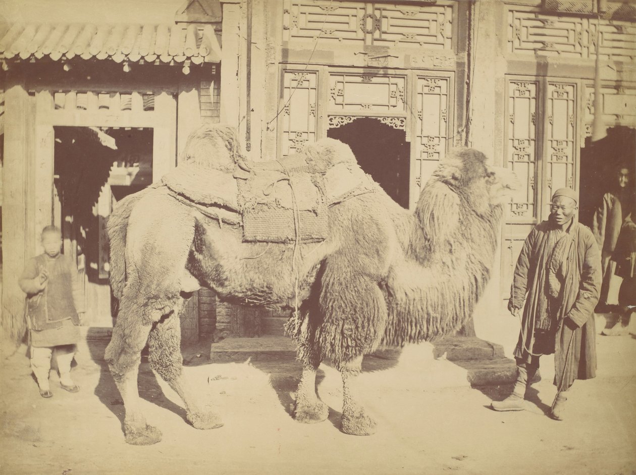Peking. /. 923, 1867. tekijältä Lai Fong.