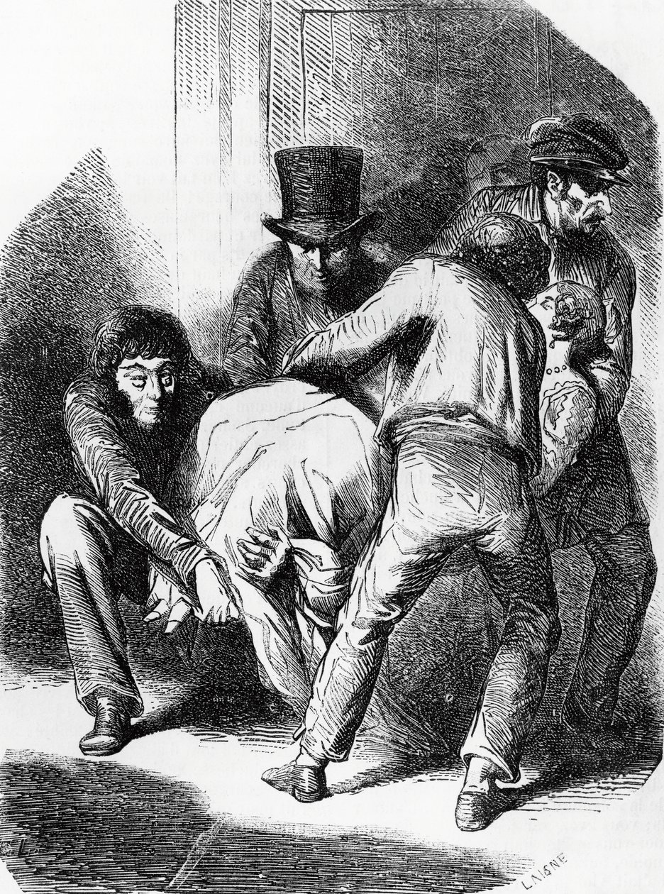 Kuvitus Langeais