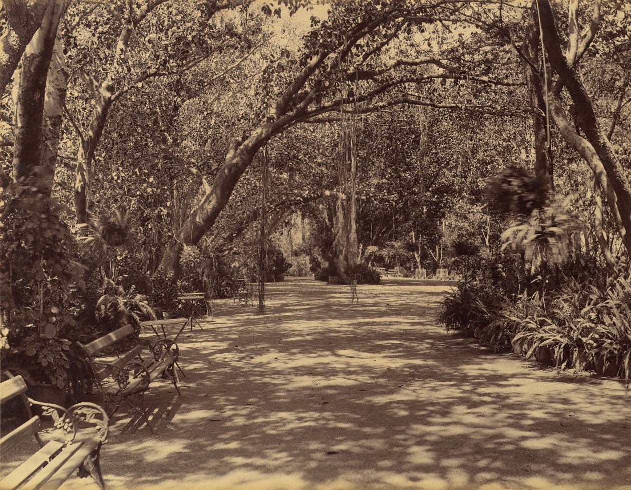 Sukh-Vilas Palace Garden, 1880-90. tekijältä Lala Deen Dayal