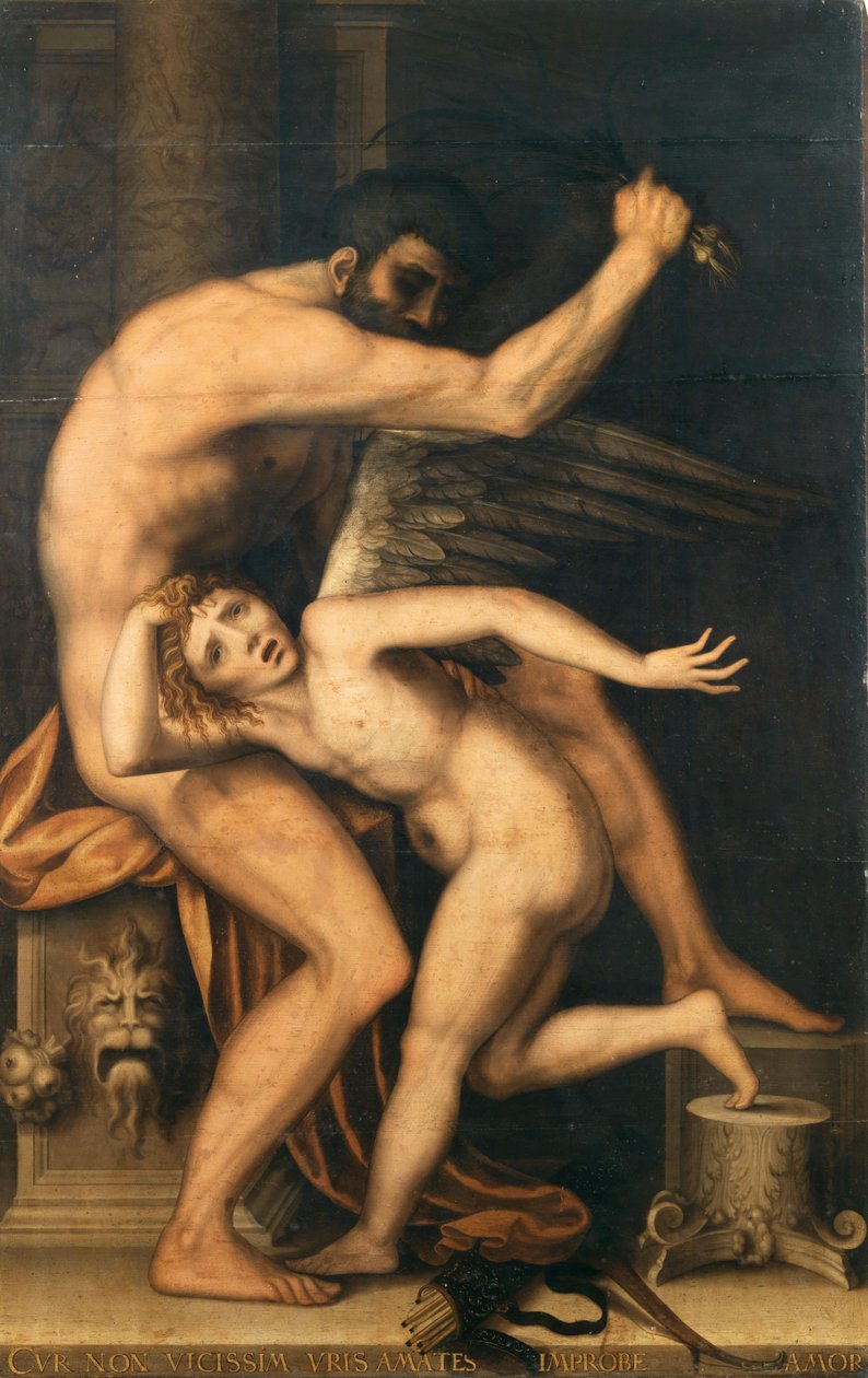 El càstig de Cupido. finlandès tekijältä Lambert Suavius