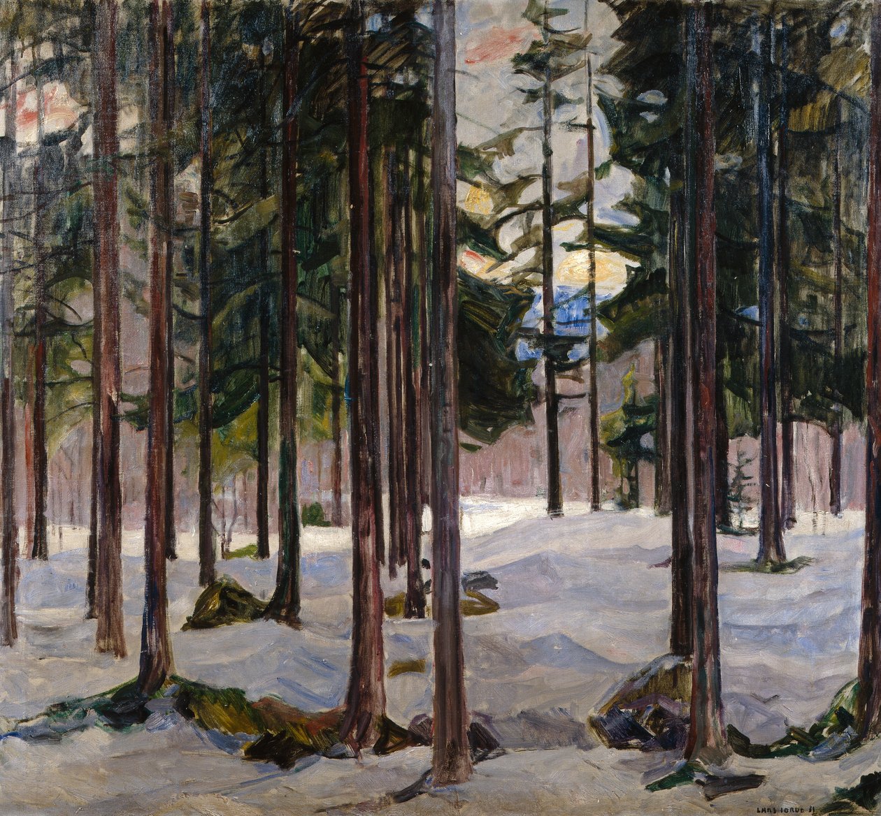 Puut talven valossa tekijältä Lars Jorde