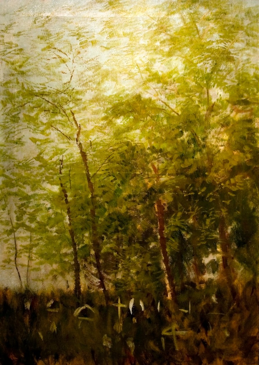 Erdoszele sirkeresztekkelnEnglanti: Fringe_of_Forest_with_Crossesn tekijältä Laszlo Mednyanszky