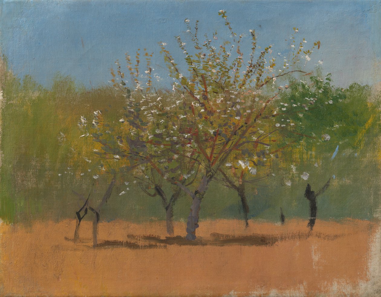 Trees in Blossom, n. 1880-90 (öljy kankaalle) tekijältä Laszlo Mednyanszky