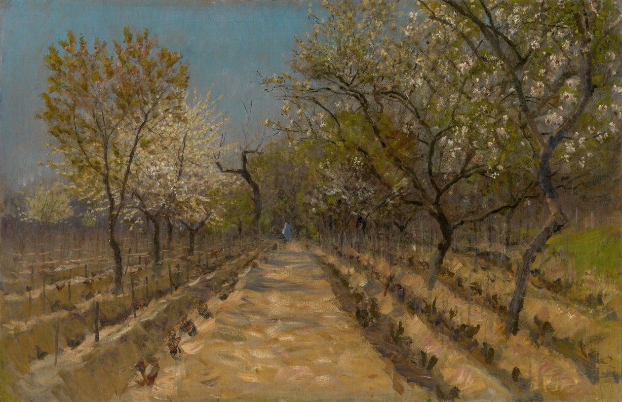 Vineyard, noin 1890-1895 tekijältä Laszlo Mednyanszky